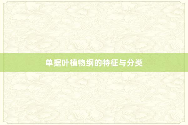 单据叶植物纲的特征与分类
