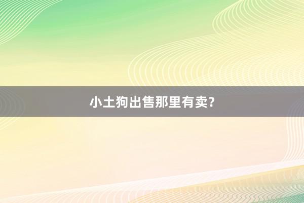小土狗出售那里有卖?